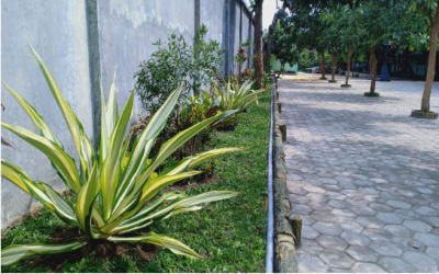 Tamanku Nan Hijau